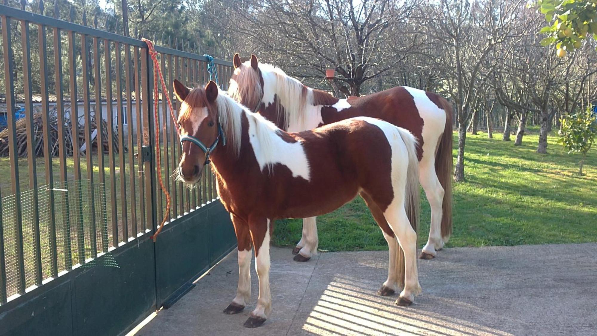 Agro Do Souto, - Completa Villa *