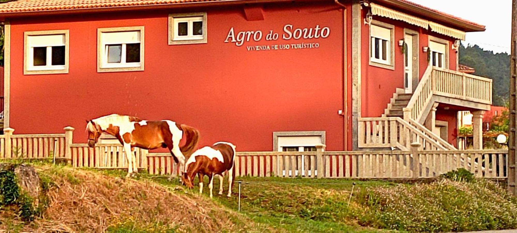 Villa Agro Do Souto, - Completa Noia