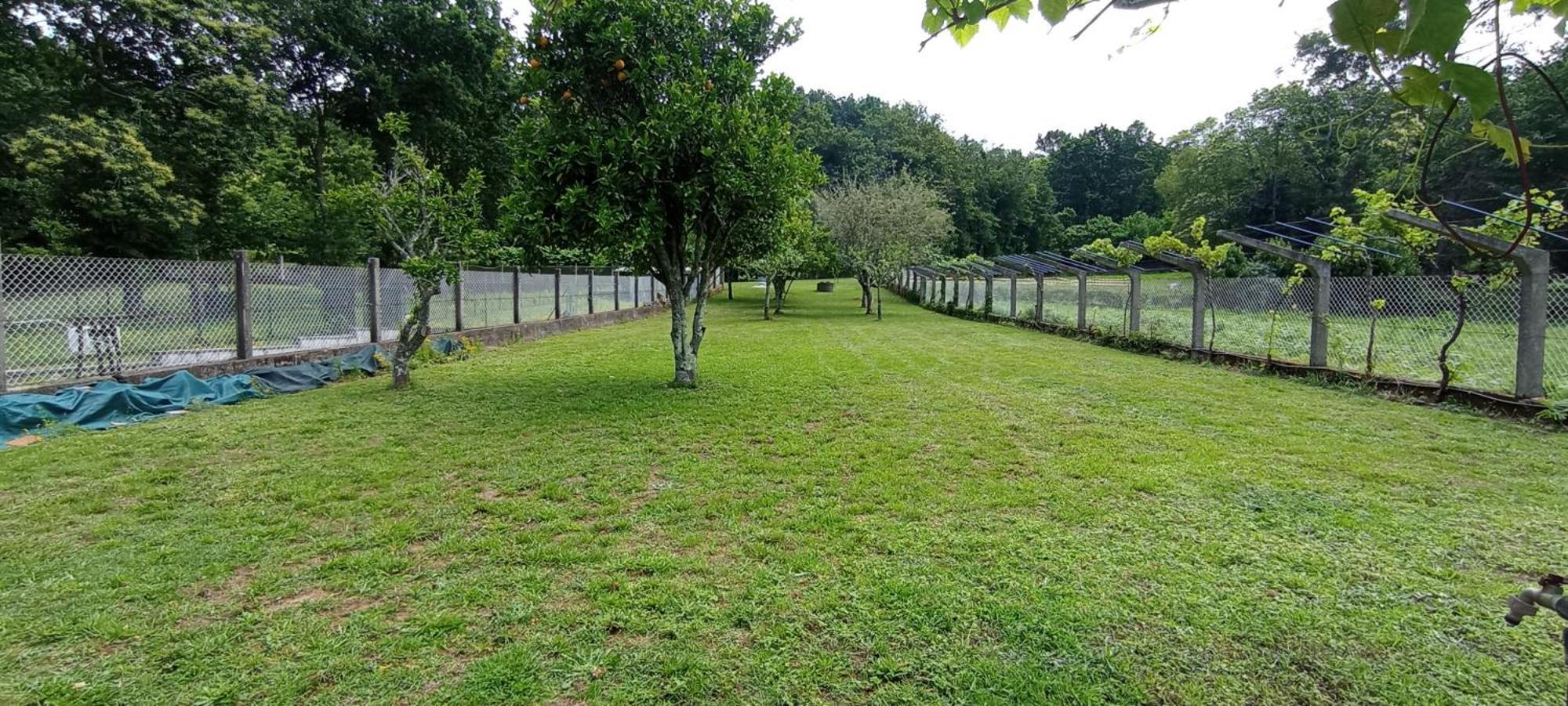 Agro Do Souto, - Completa